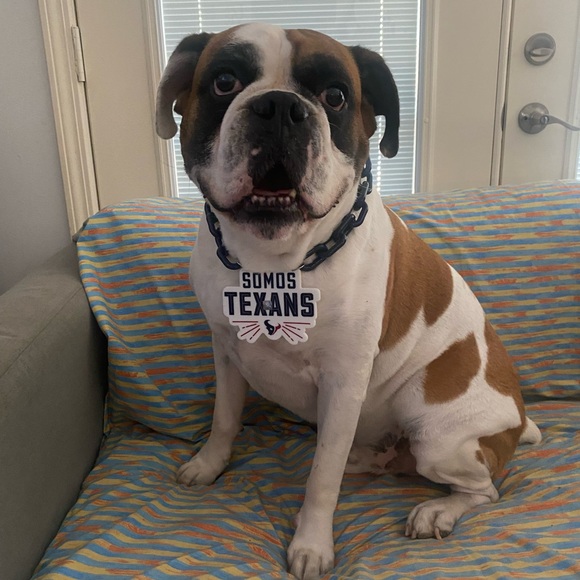 Meet your Posher, Carlos - Picture 2 of 11